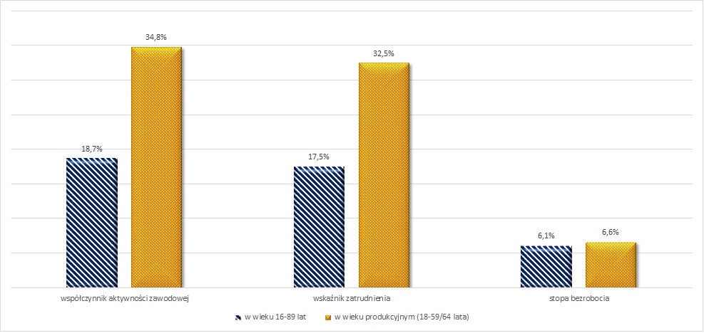 Aktywność zawodowa osób niepełnosprawnych prawnie w wieku 16-89 lat oraz w wieku produkcyjnym w II kw. 2024 roku